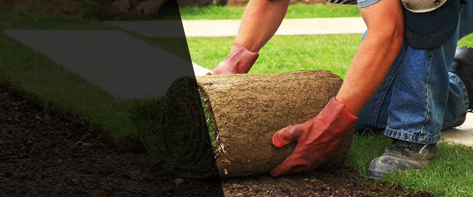 Mesick Landscapers