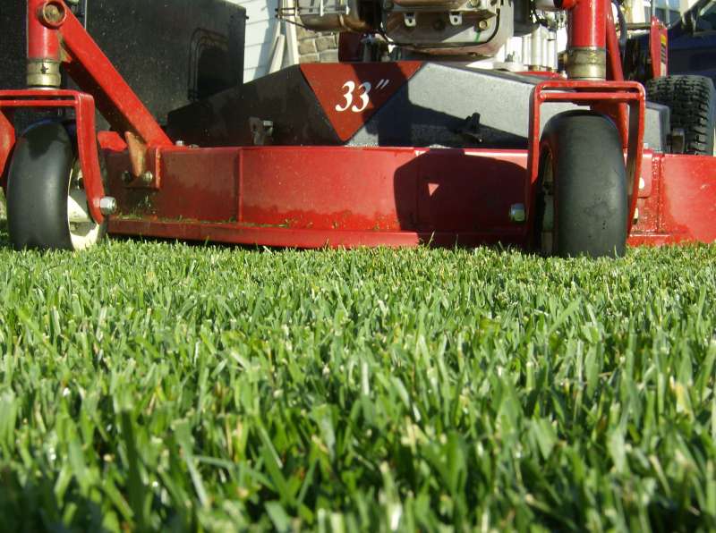 Thatching